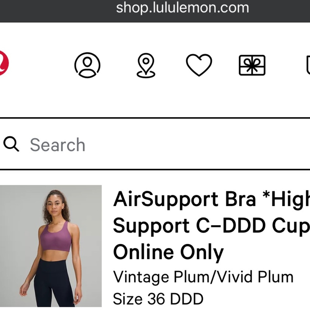 Lululemon AirSupport Bra 36DDD